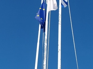 571266168 1287057329890678 4587238081961645359 N