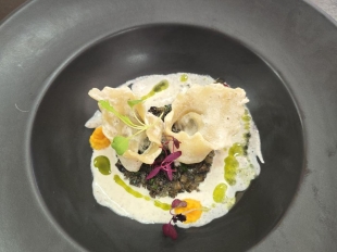 593539325 1314983163764761 6793726640792035868 N