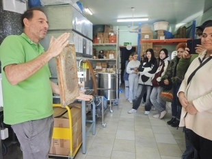 600137135 1325243649405379 5621532716881235822 N