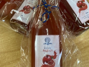 605519369 1330446462218431 2271598463640022837 N