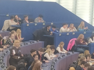 623016291 1355798623016548 1273665853427535829 N