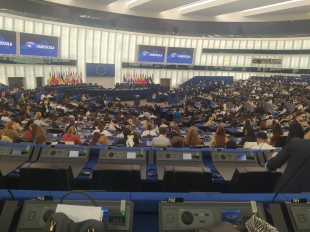 623365629 1355798676349876 3762596354822725828 N