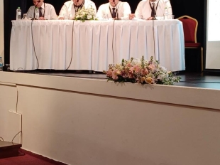 645704557 1386790646584012 8778589493127244530 N